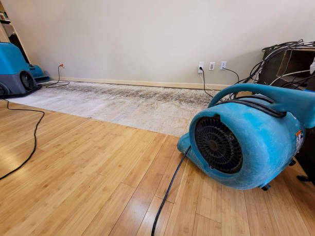 Professional Flood Damage Cleanup technician working in Stanley, VA